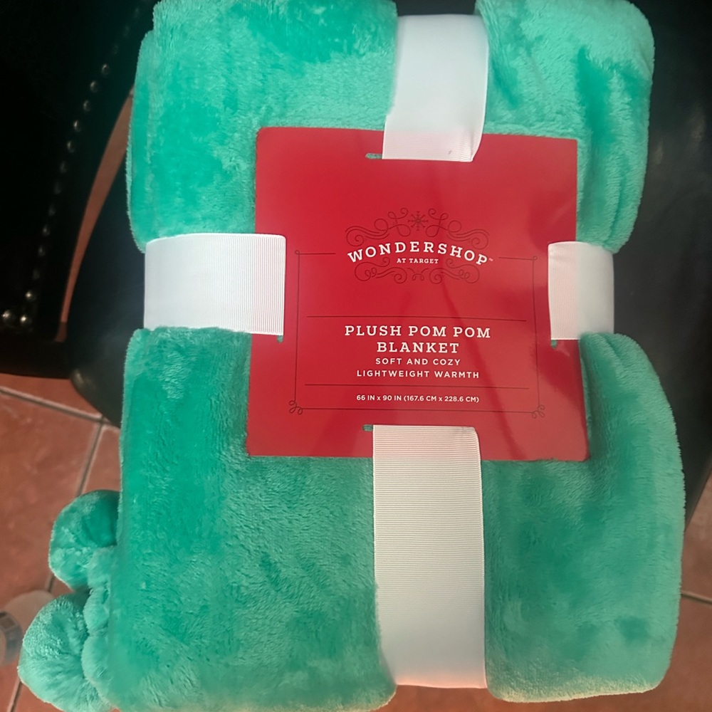 Teal Plush Pom Pom Blanket